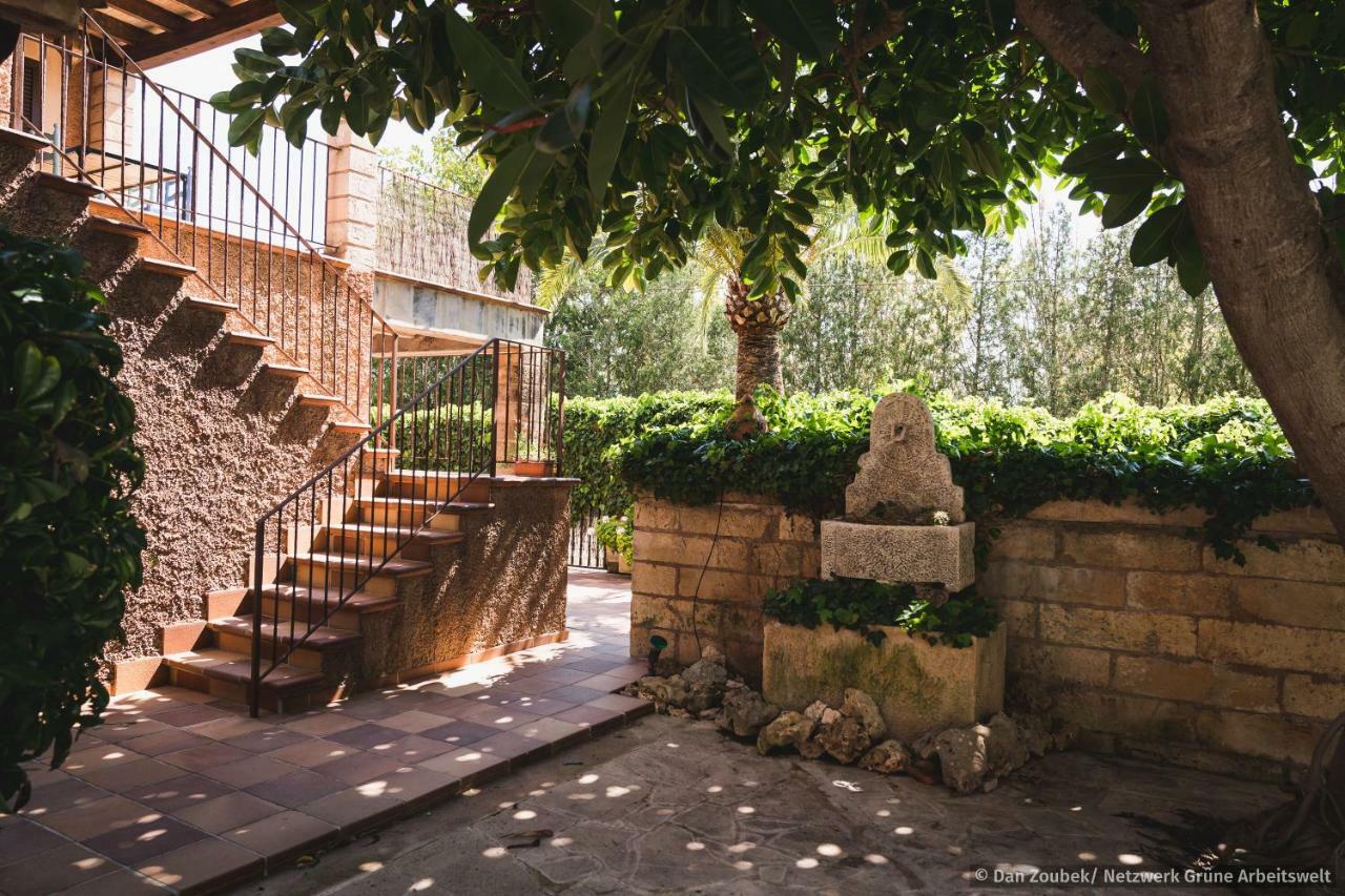 Sa Vaqueria Villa Porto Cristo Exterior photo